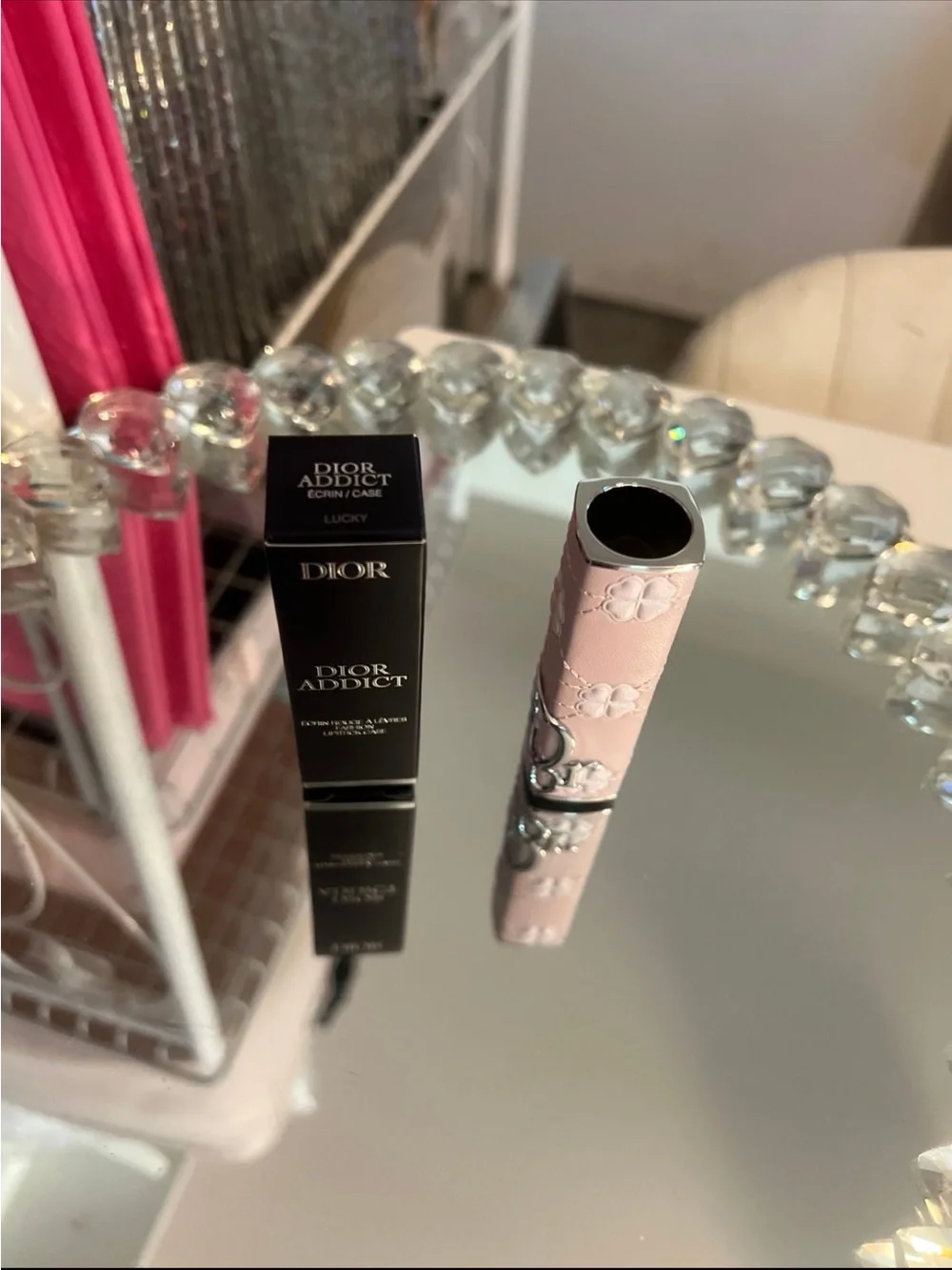 Dior Addict Lip Case in Lucky